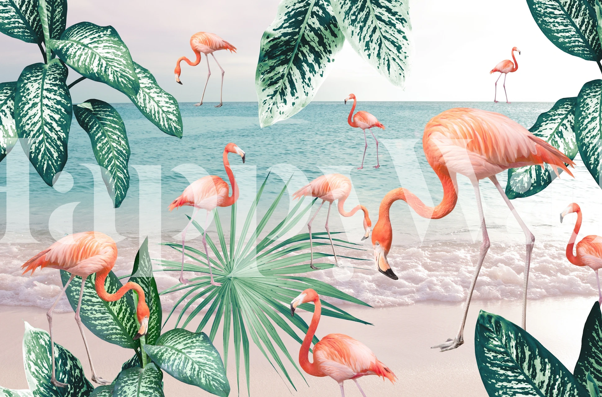 Flamingos on beach with tropical leaves and water wallpaper