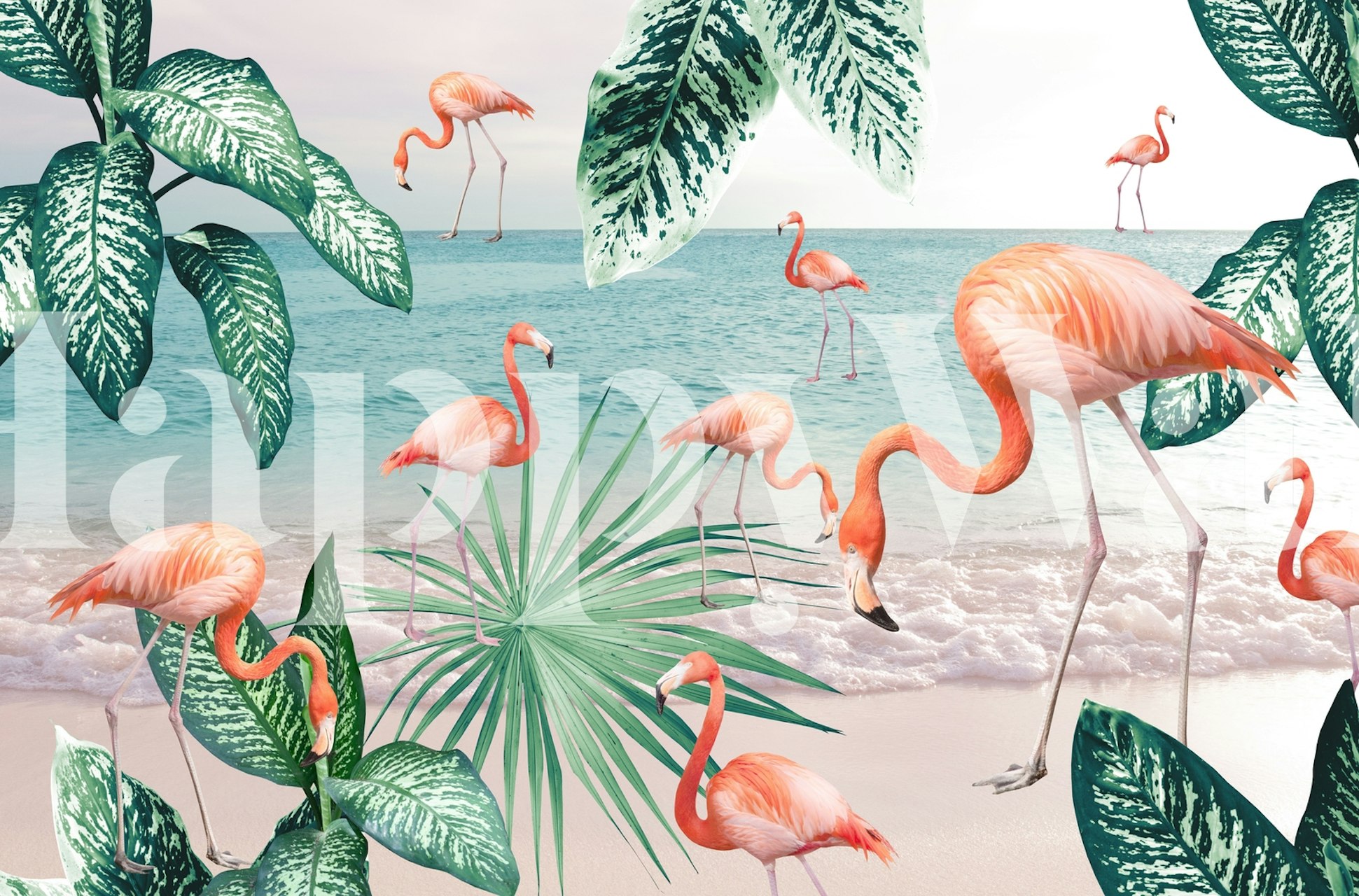 Flamingo Oasis 1 tapet i en rumindstilling