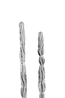 Mexican Cacti Dream 3 wallpaper