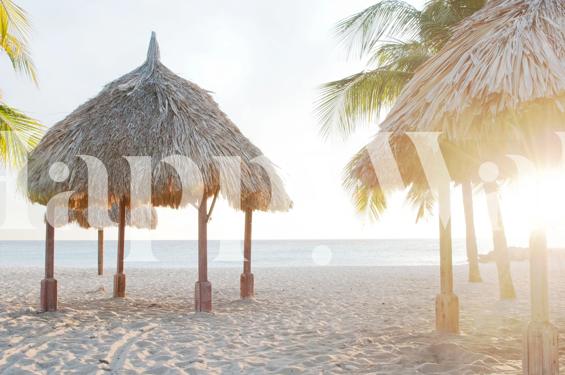 Caribbean Beach Oasis tapeta u sobi