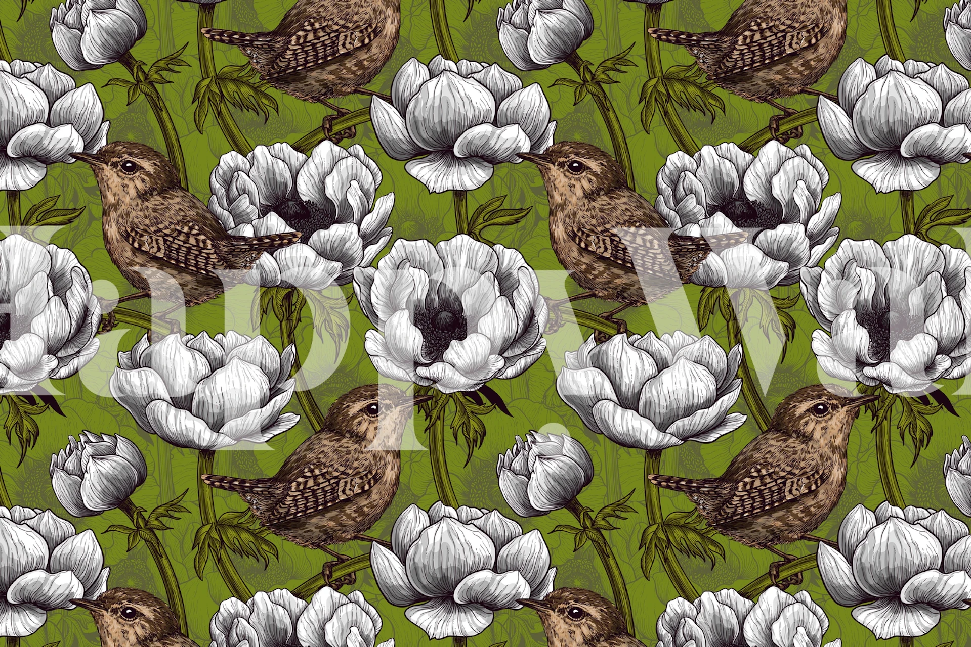 Wrens and anemone flowers wallpaper in a room