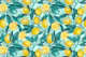 Lemon branches 2