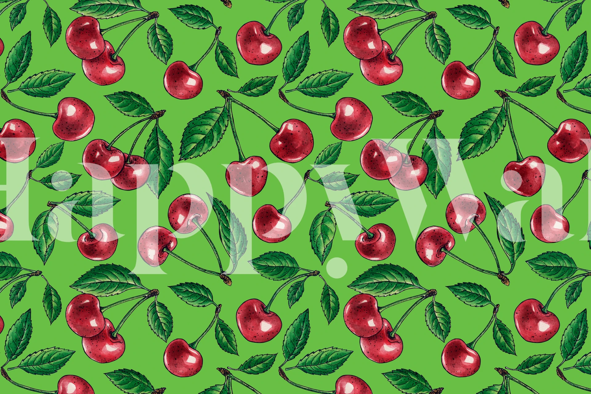 Red cherries with green leaves on bright green background wallpaper