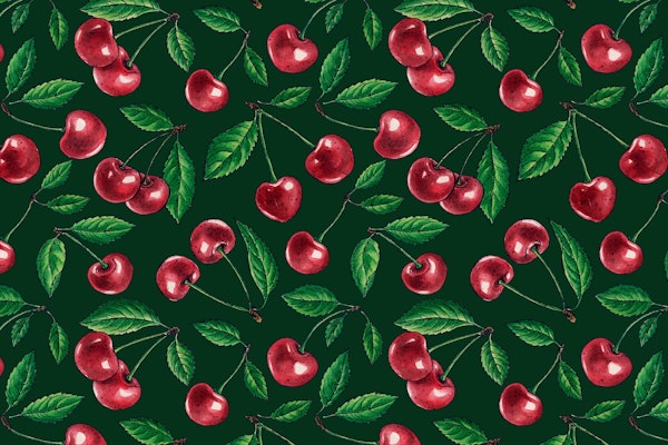 Red cherries on dark green