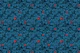 Find the lucky clover
