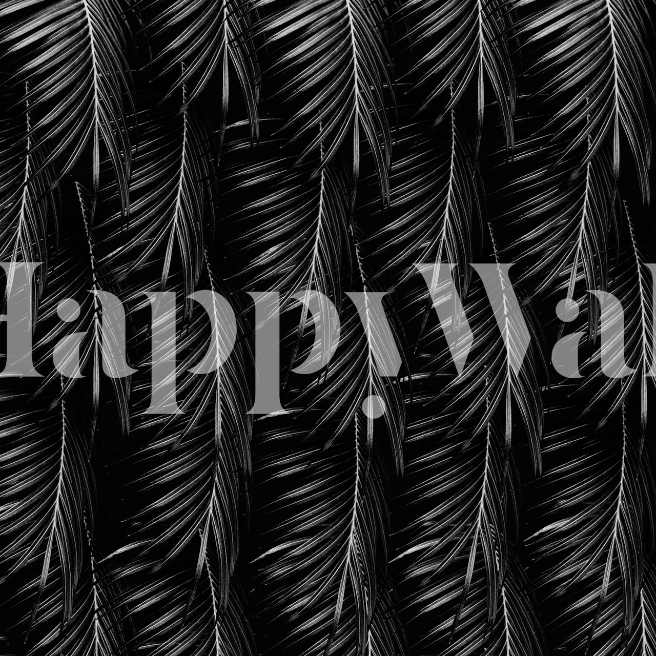 Black palm leaves pattern wallpaper with a modern design