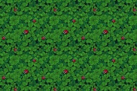Find the lucky clover 5 papiers peint