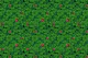 Find the lucky clover 5