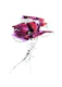 Beautiful Life Flower Art