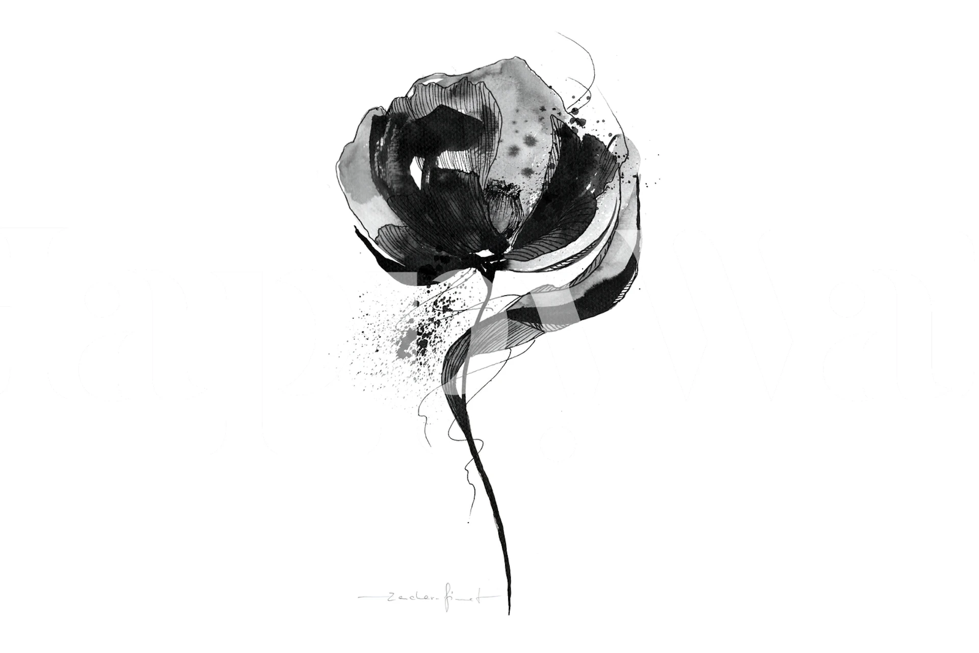 Czarno-biała, minimalistyczna fototapeta z kwiatami