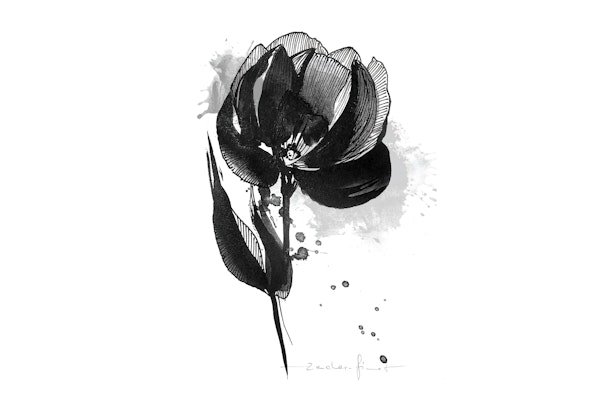 Black Flower Minimalist Art