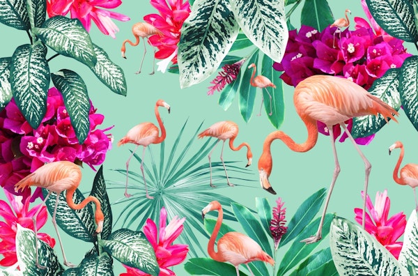 Flamingo Jungle Oasis 1