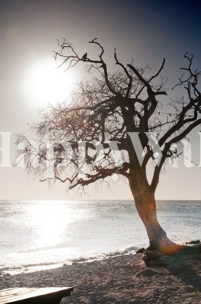 Silhouetted tree at beach during sunset, grey tones, vintage wallpaper