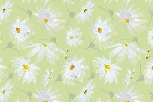 Light Green Daisy Meadow