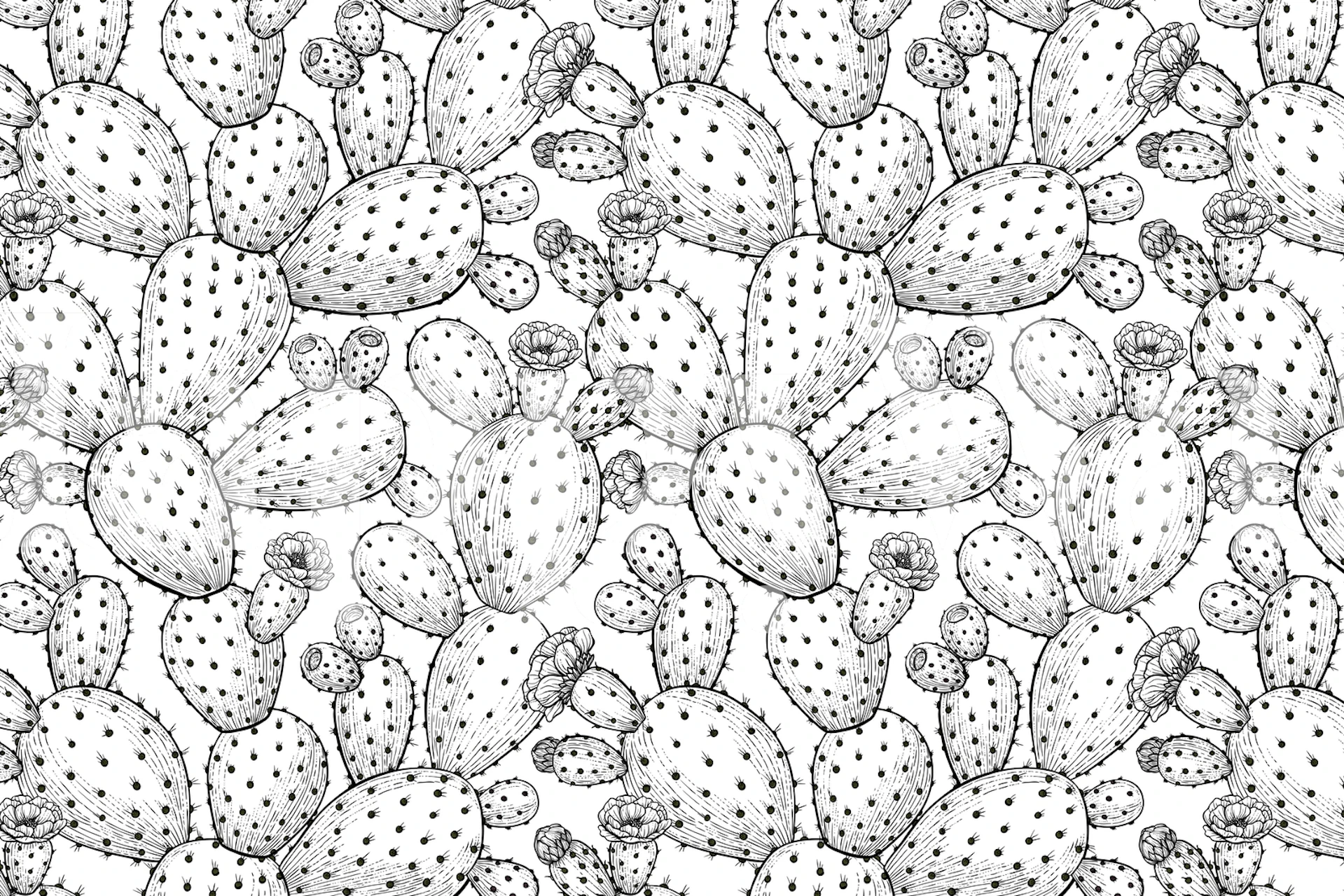 Fotomural con estampado de cactus Opuntia para decoración de interiores