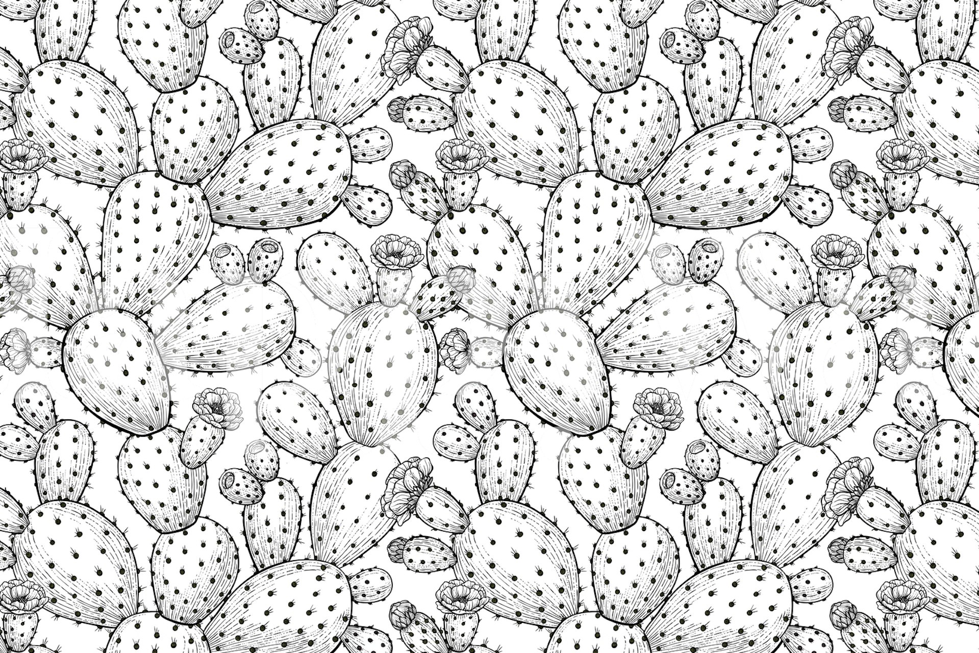 Fotomural con estampado de cactus Opuntia para decoración de interiores