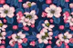 Apple blossom 5