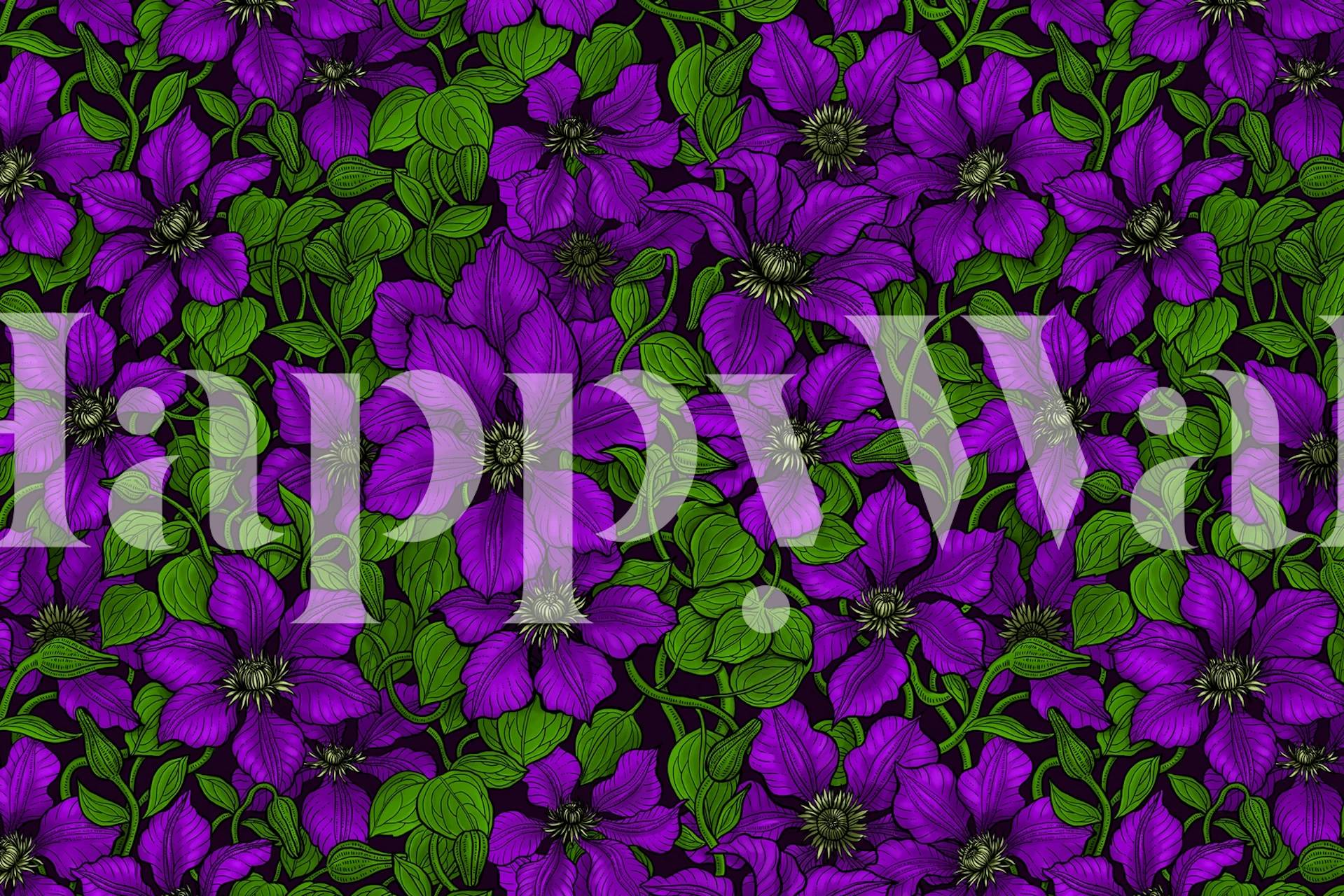 Vibrant purple clematis flowers with green leaves wallpaper