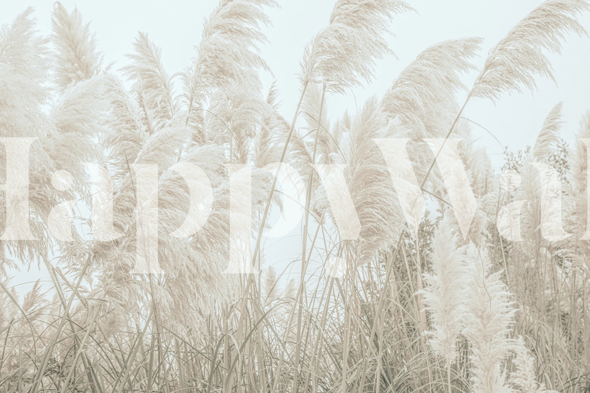 Tapeta Wild Pampas Reed w pokoju