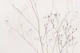 Wildflowers Natural Beige 2