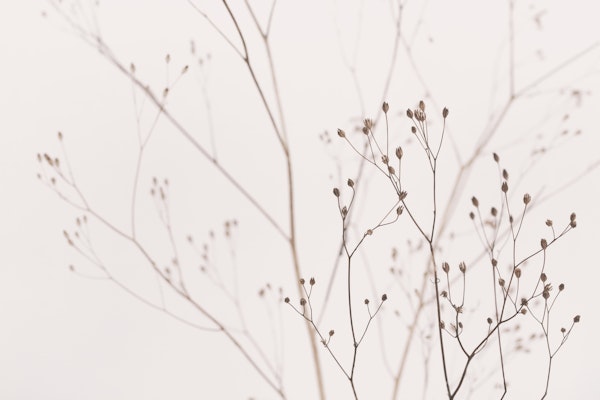 Wildflowers Natural Beige 2