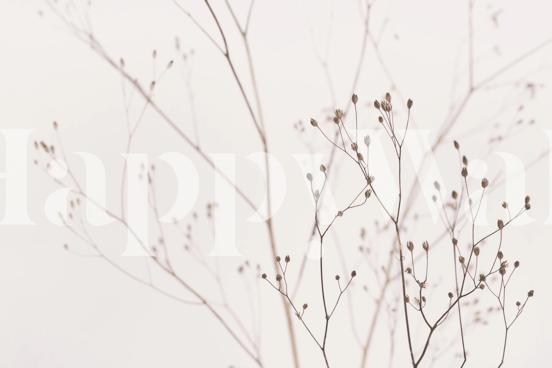Delicate beige wildflower branches against a soft white background wallpaper