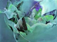 Deep Sea Abstract Art