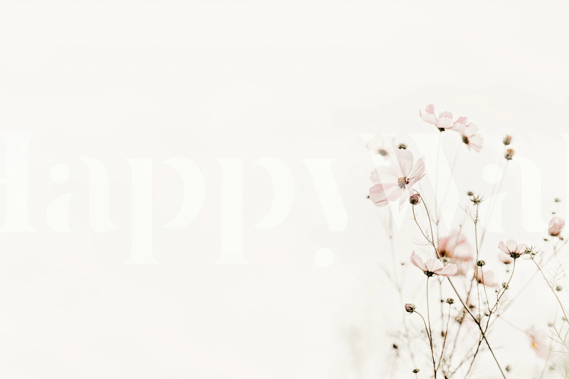 Delicate pink flowers with soft stems on cream background wallpaper