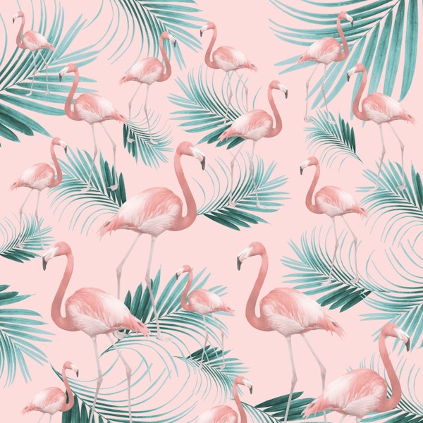 Blush Flamingo Palm Vibes 1