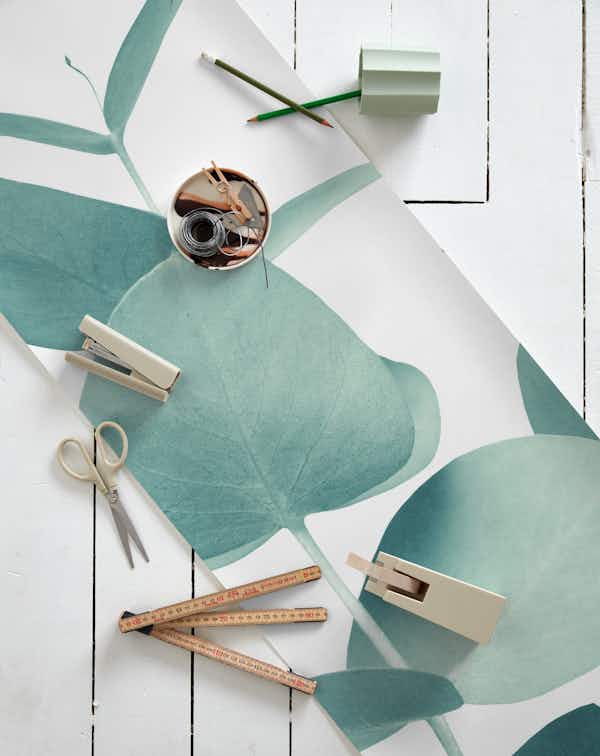 Eucalyptus Leaves Green 1 wallpaper roll