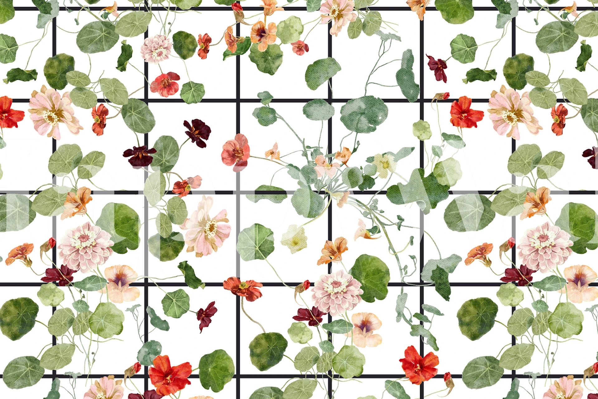 Nasturtium-blomster med grønne blader på et veggmaleri med rutenettmønster.