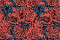 Peony flowers tapete