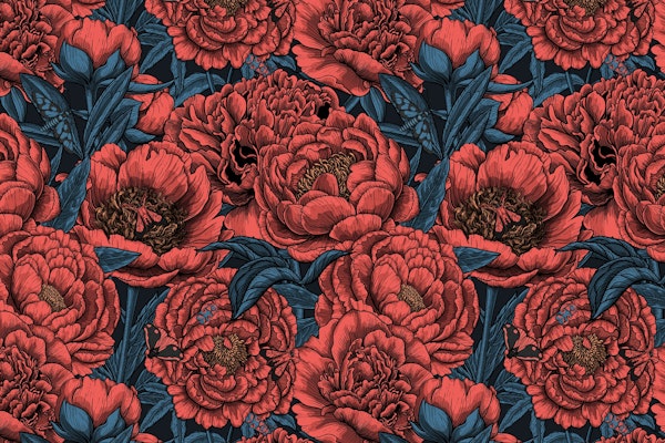Peony flowers