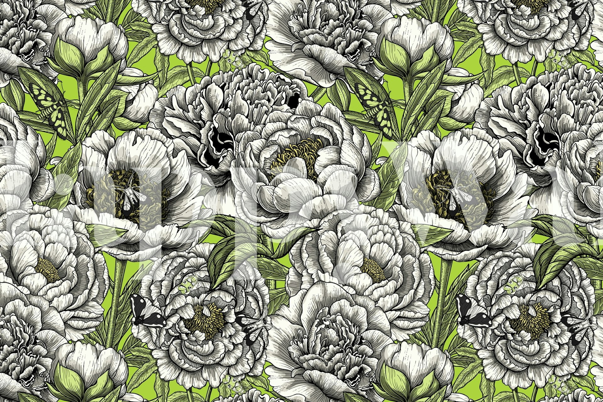 Peony flowers tapeta v nastavení místnosti.