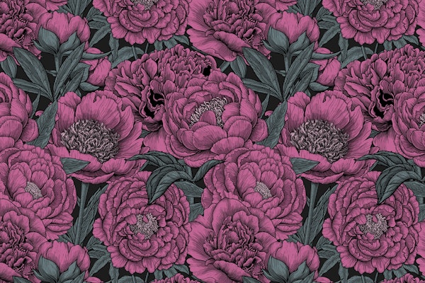 Peony flowers 3