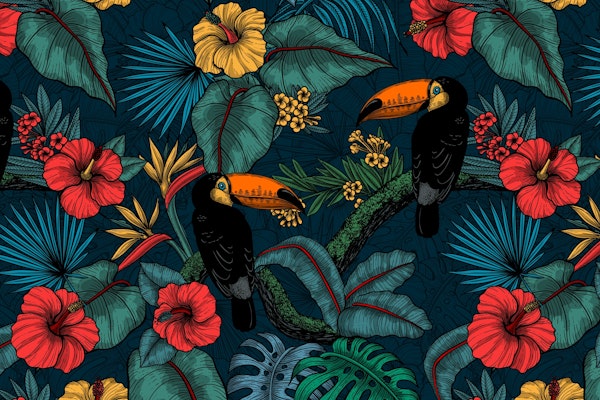 Toucan garden