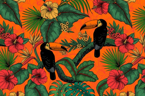 Toucan garden 2
