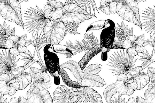 Toucan garden 4
