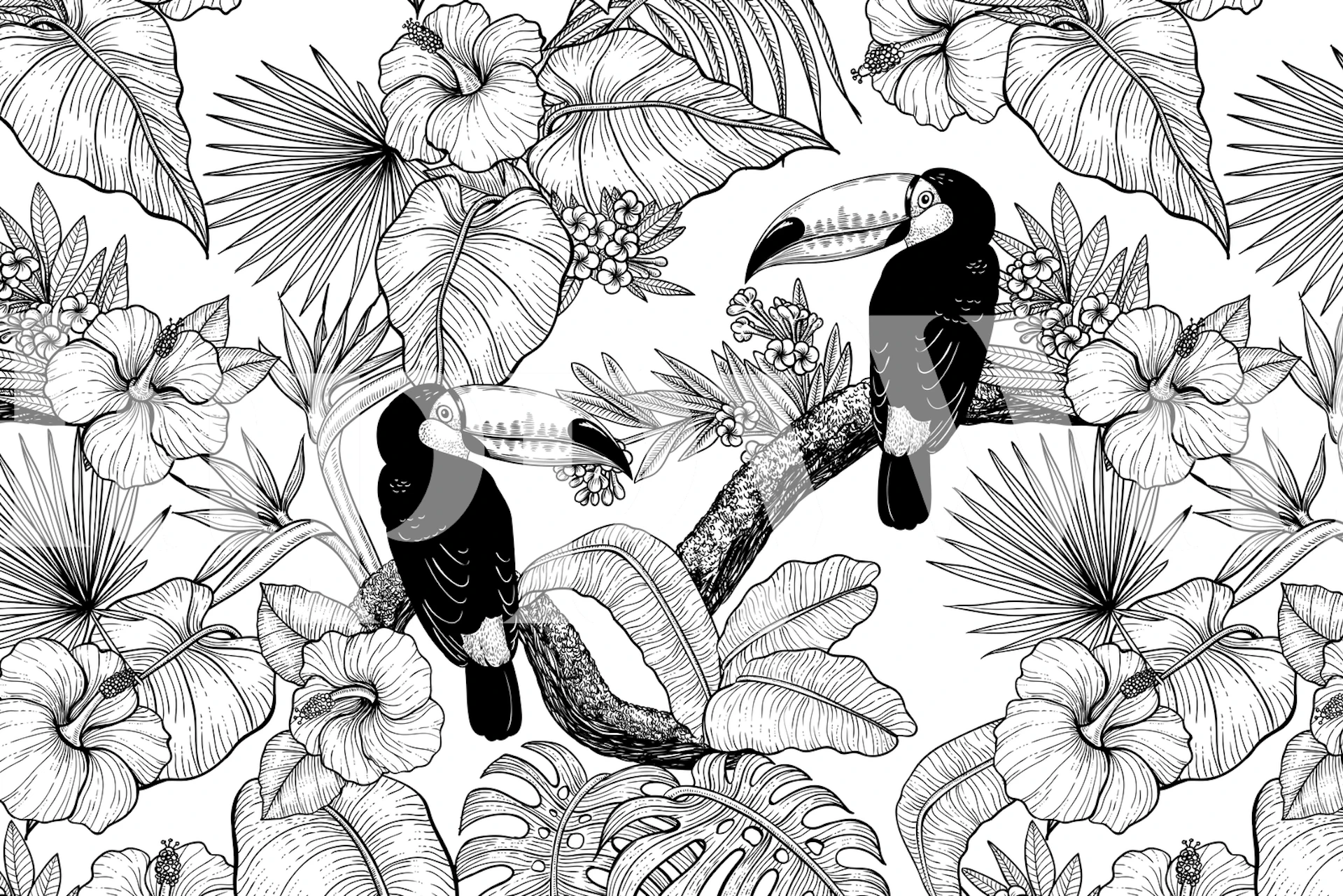 Toucan and tropical flowers in black and white wallpaper