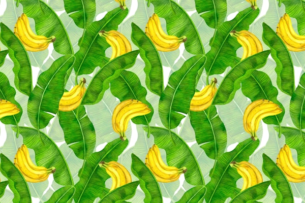 Bananas and leaves