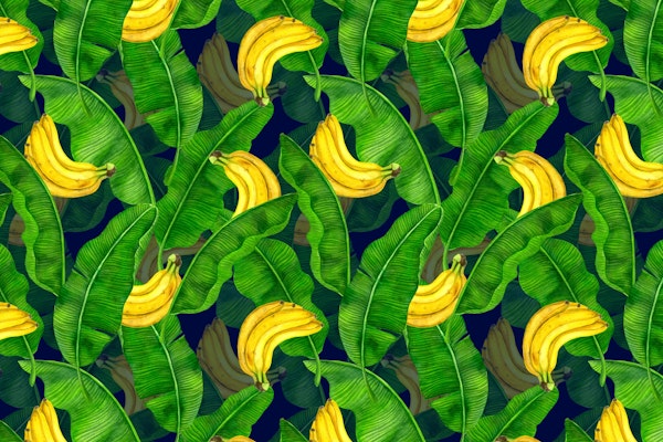 Bananas and leaves 3