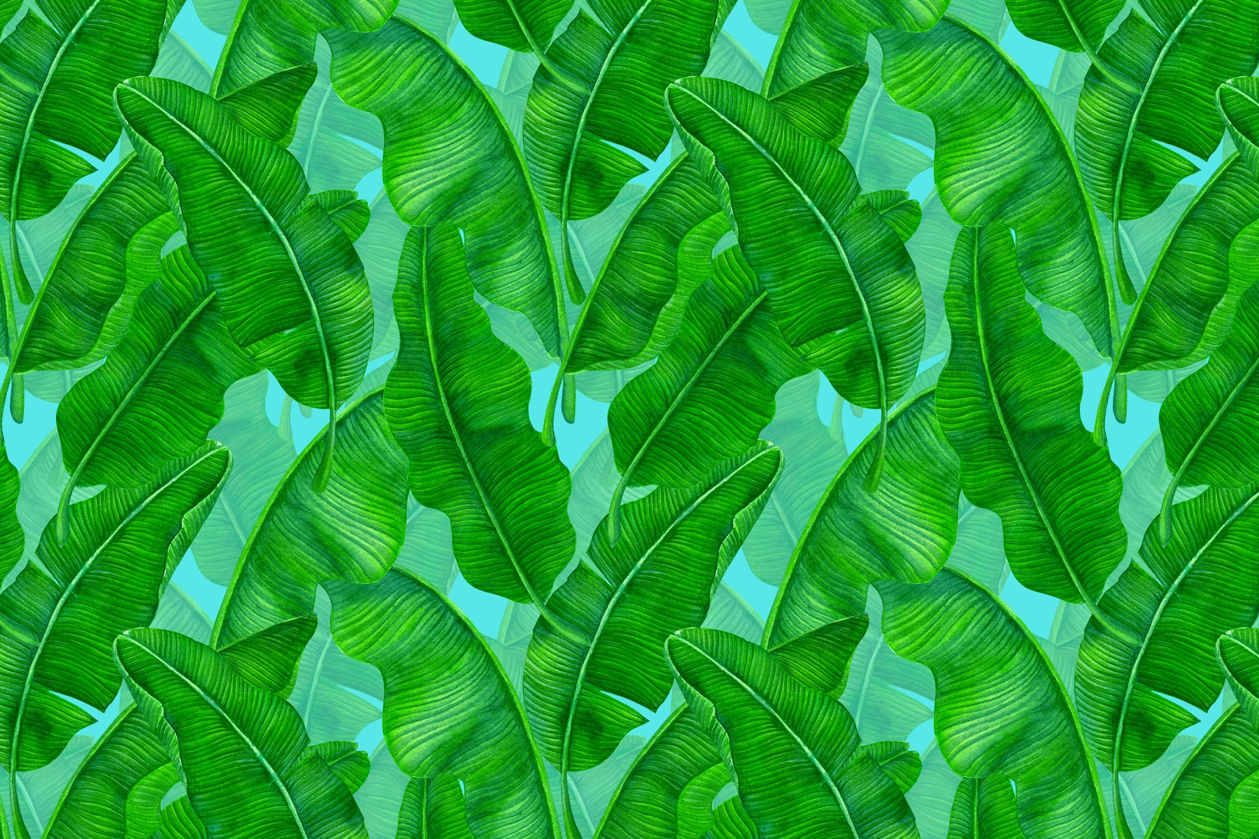 Banana Leaves 1 Wallpaper Buy Online at Happywall