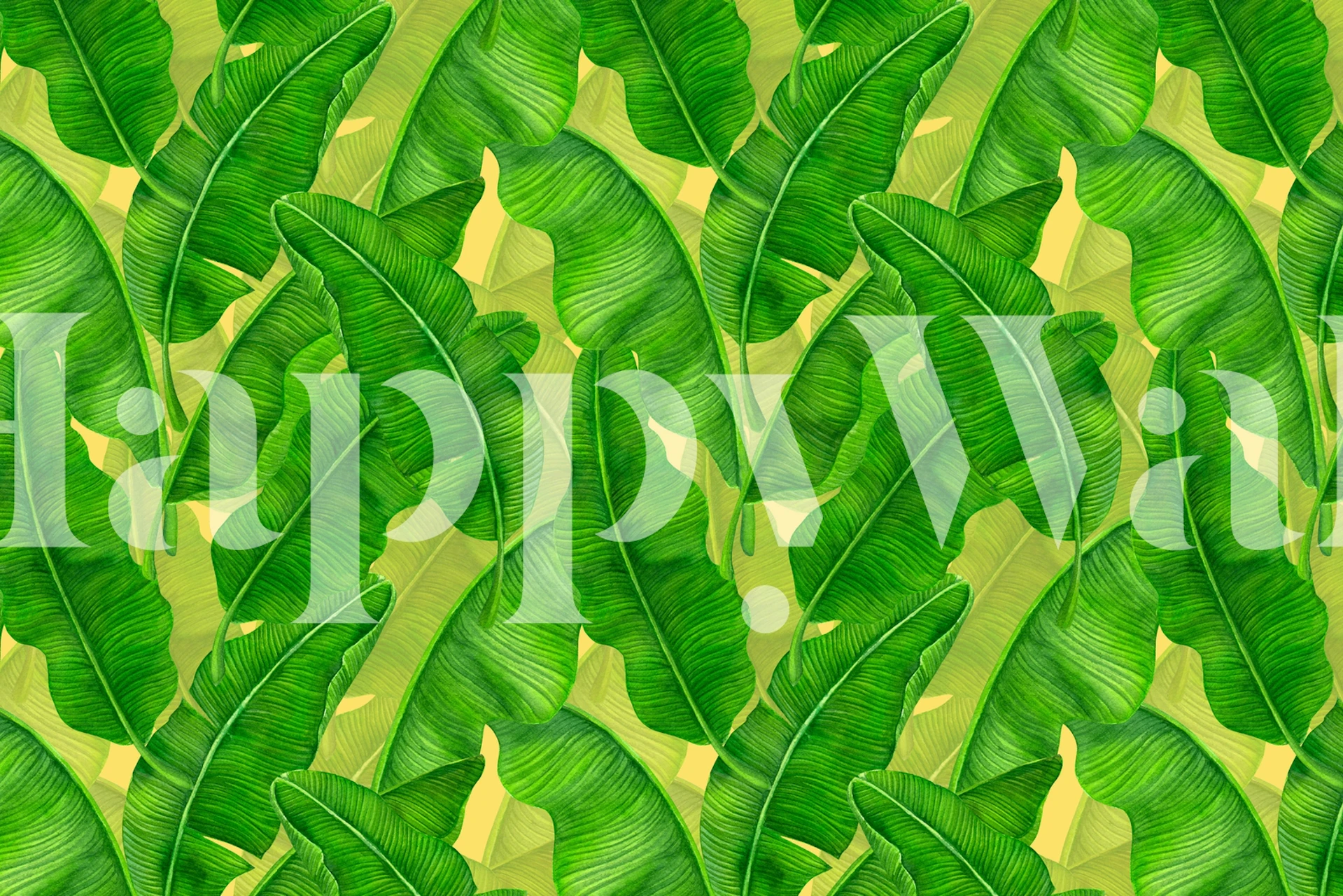 Banana leaves tapetti huoneessa