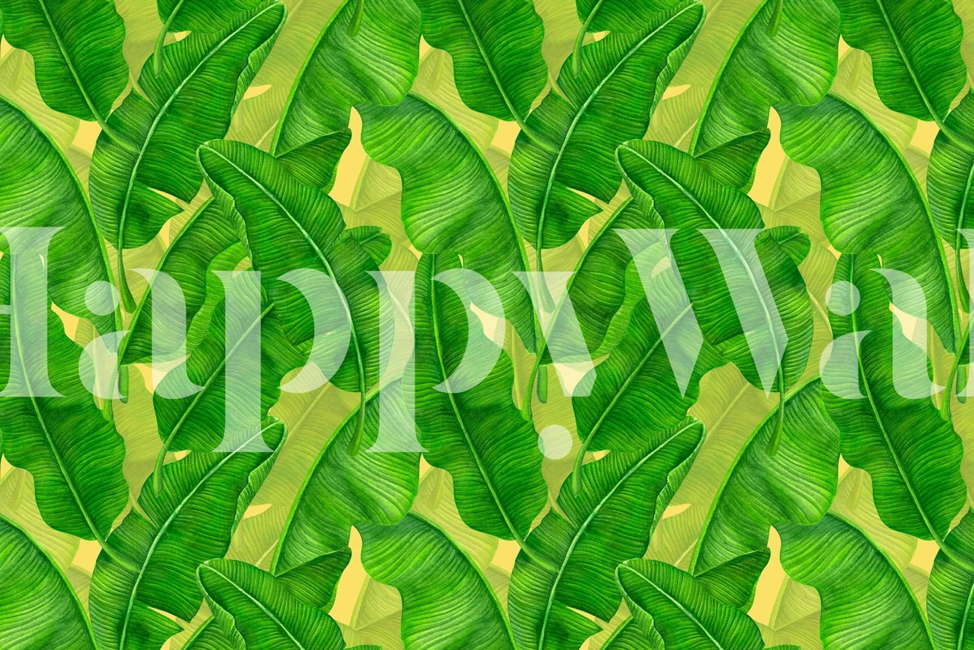 Tropical banana leaves wallpaper in vibrant green hues