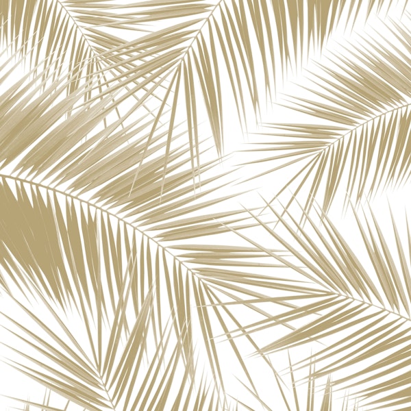 Palms Gold Cali Vibes 8
