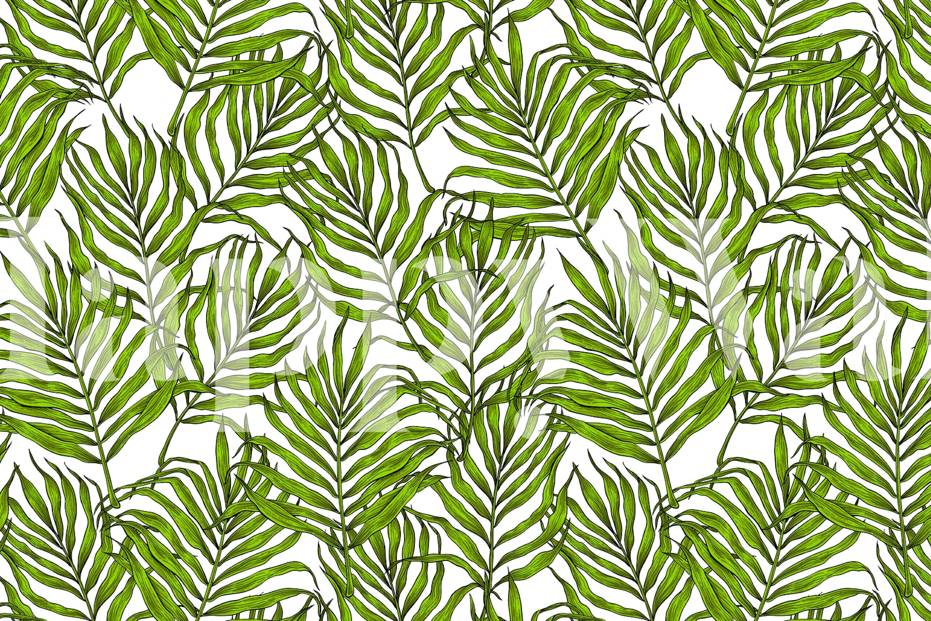 Tropical palm leaves green on white background wallpaper