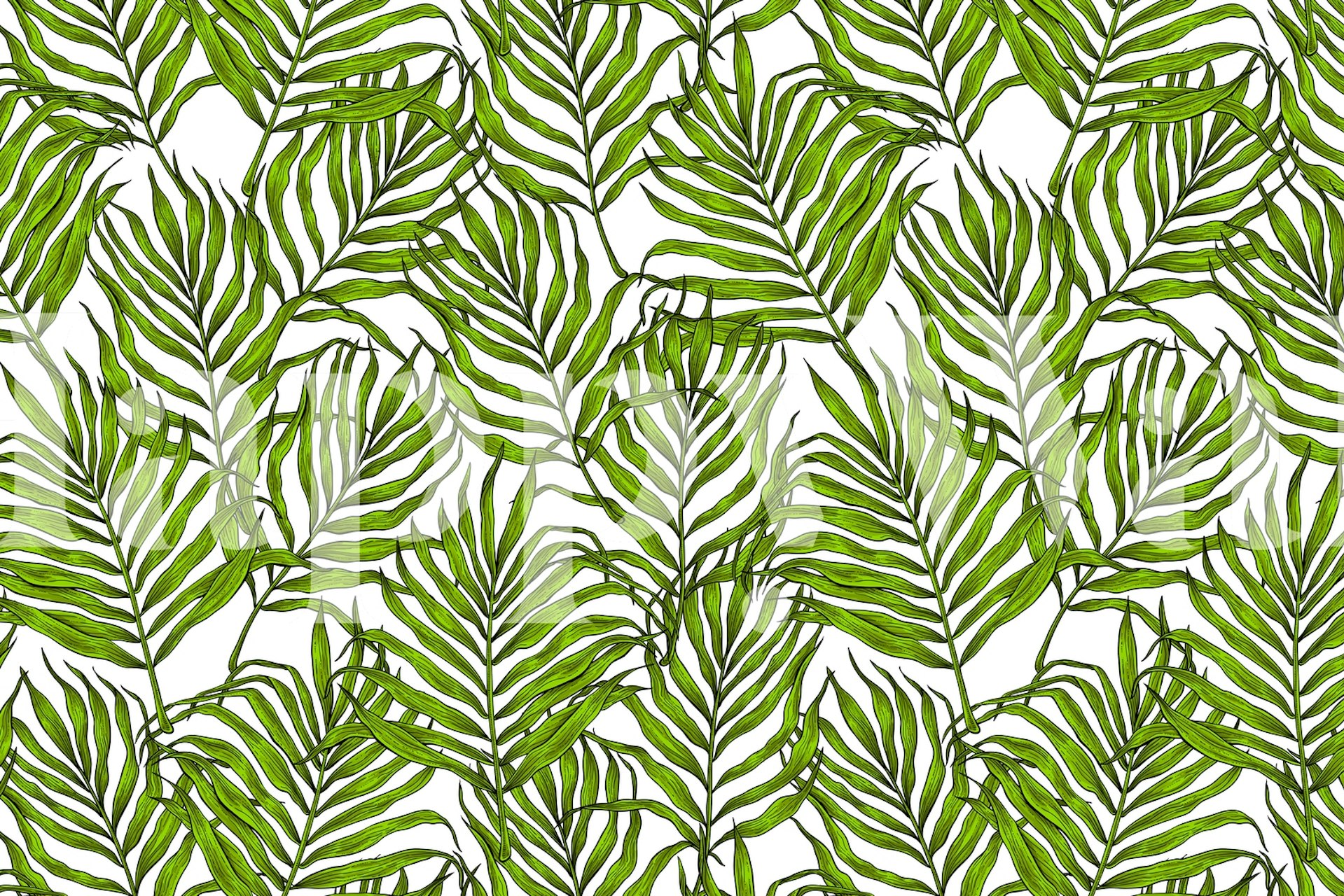 Tropical palm leaves green on white background wallpaper