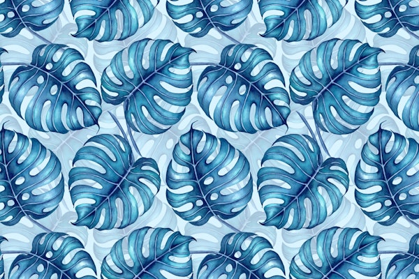 Monstera watercolor 2