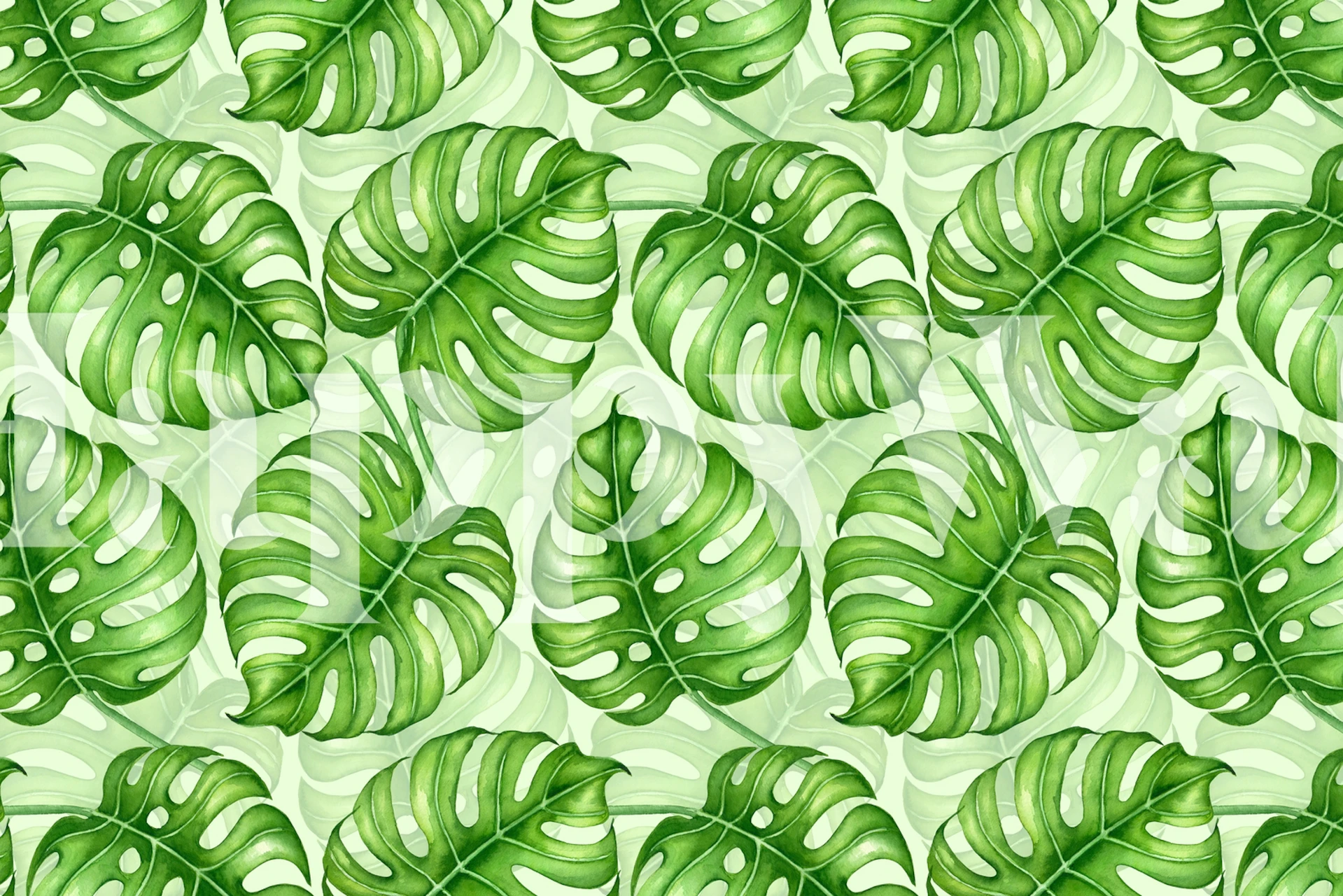 Monstera watercolor wallpaper in a room