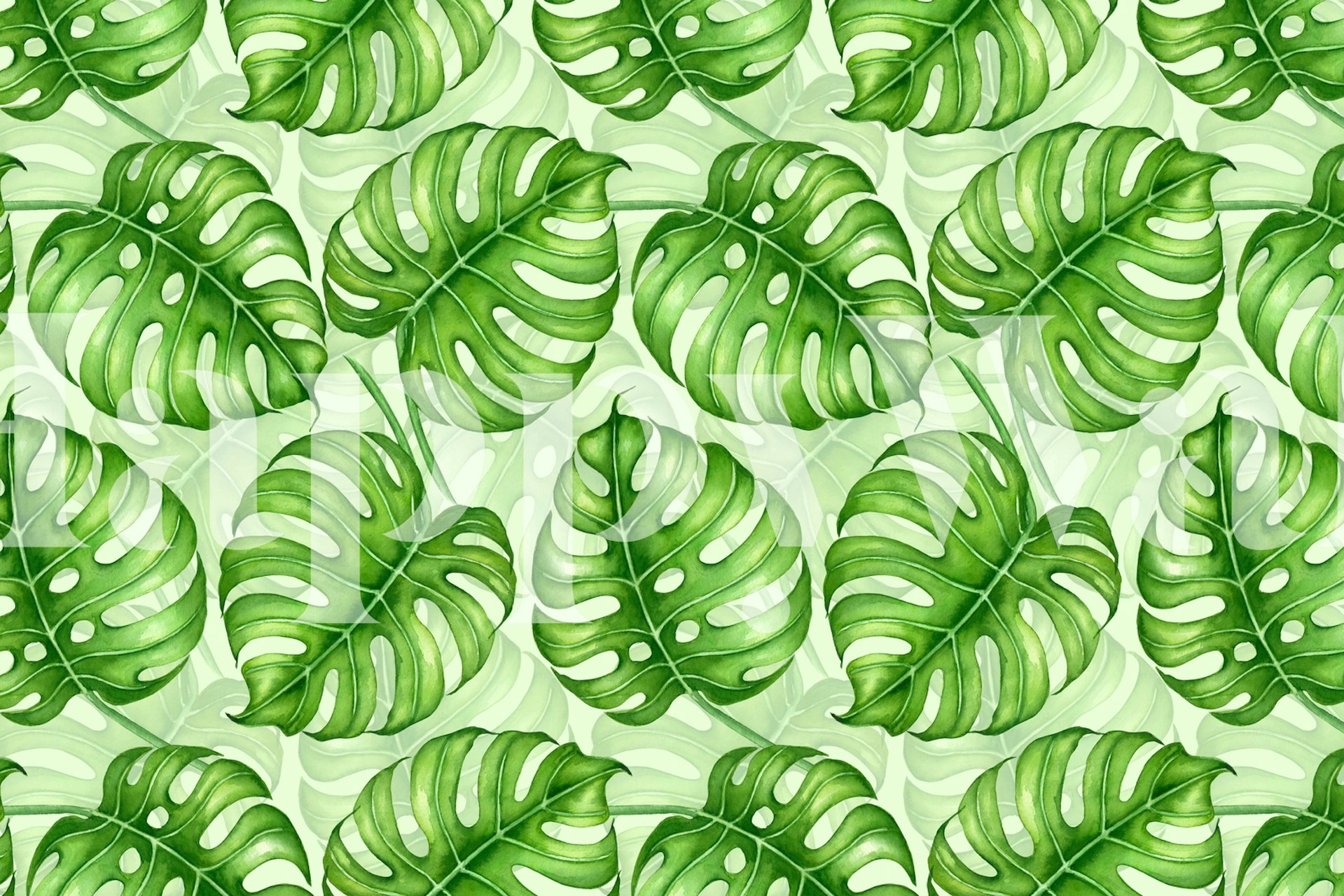 Monstera watercolor wallpaper in a room